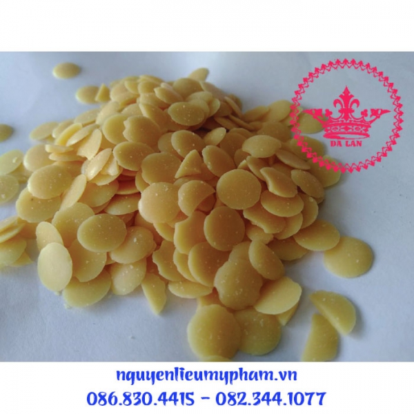 Bán Sáp Candelilla – Sáp nhũ hóa Cadelilla, Sáp nhũ hóa thực vật