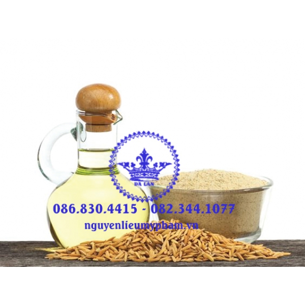 Dầu Cám Gạo Nguyên Chất 100% - Cung Cấp Nguyên Liệu Mỹ Phẩm Giá Sỉ