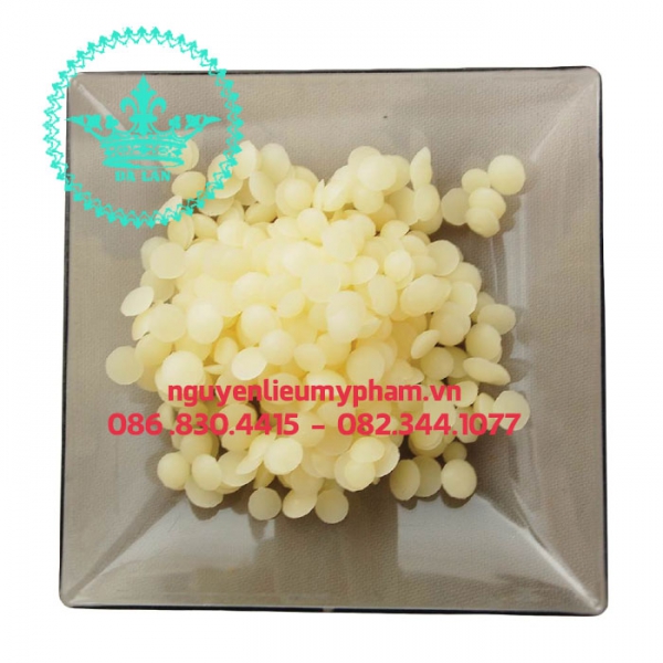 Cung Cấp Sáp Ong – Bán Sáp Ong Giá Sỉ Trên Toàn Quốc