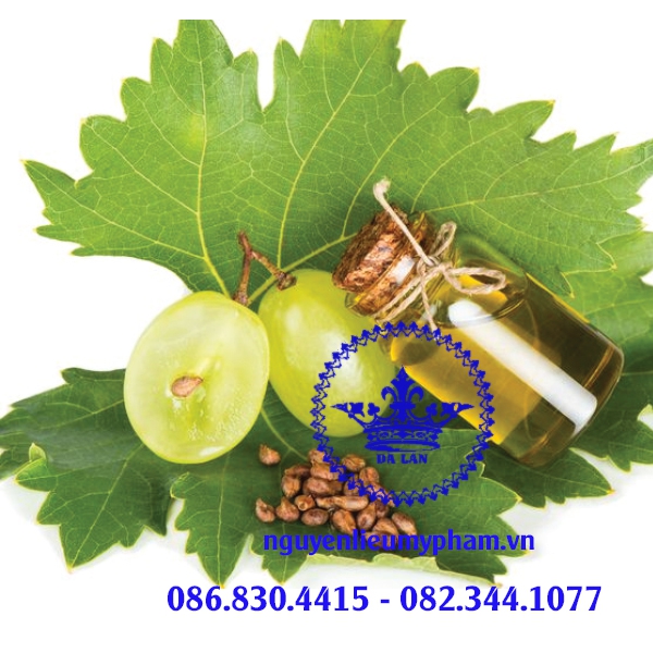 Dầu Hạt Nho Nguyên Chất – Cung Cấp Dầu Hạt Nho Nguyên Liệu Mỹ Phẩm