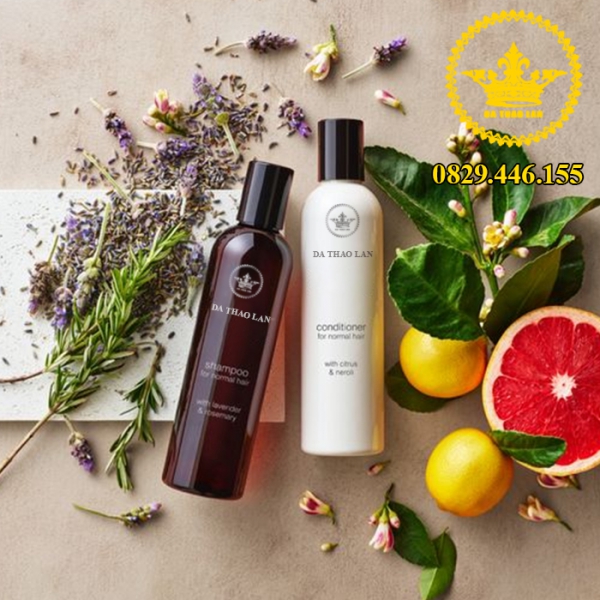 Gia Công Dầu Gội Trị Gàu, Trị Nấm