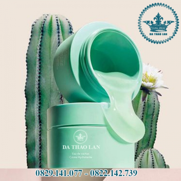 Gia Công Gel Vuốt Tóc, Keo Vuốt Tóc