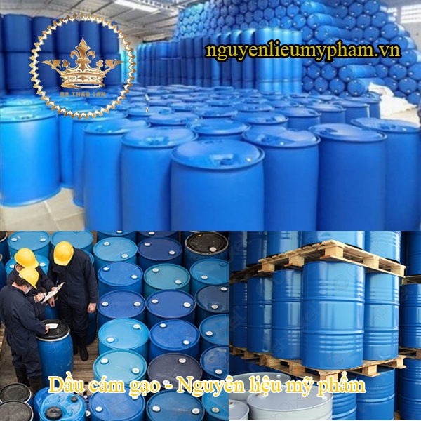 Dầu cám gạo- Nguyên liệu mỹ phẩm, cung cấp chiết xuất thiên nhiên